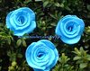 Krepprose klein iceblau Floristenkrepp ca. 7 cm