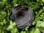 Krepprose schwarz, Floristenkrepp ca. 11 cm
