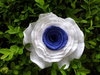 Krepprose zweif. weiß/blau Floristenkrepp ca. 11 cm